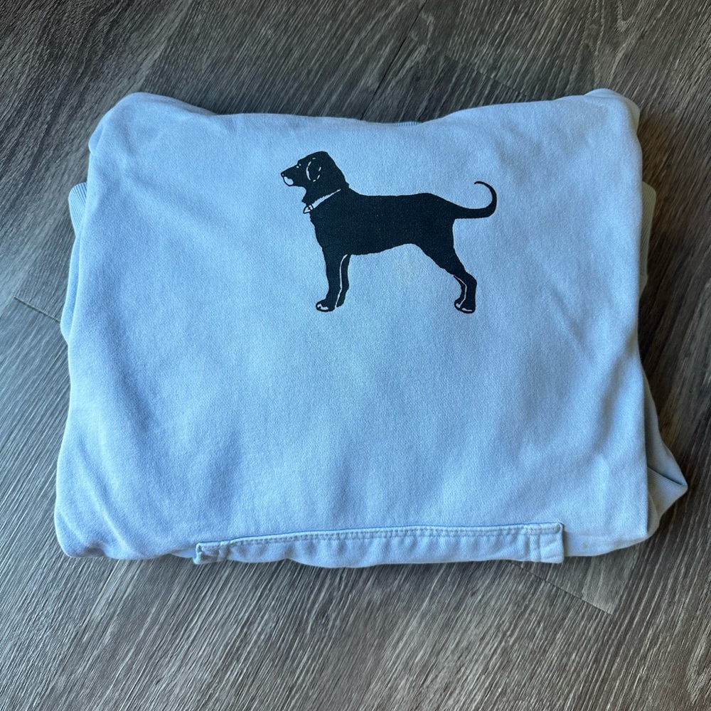 THE BLACK DOG Light Blue Women’s Sweatshirt Size Large ✨